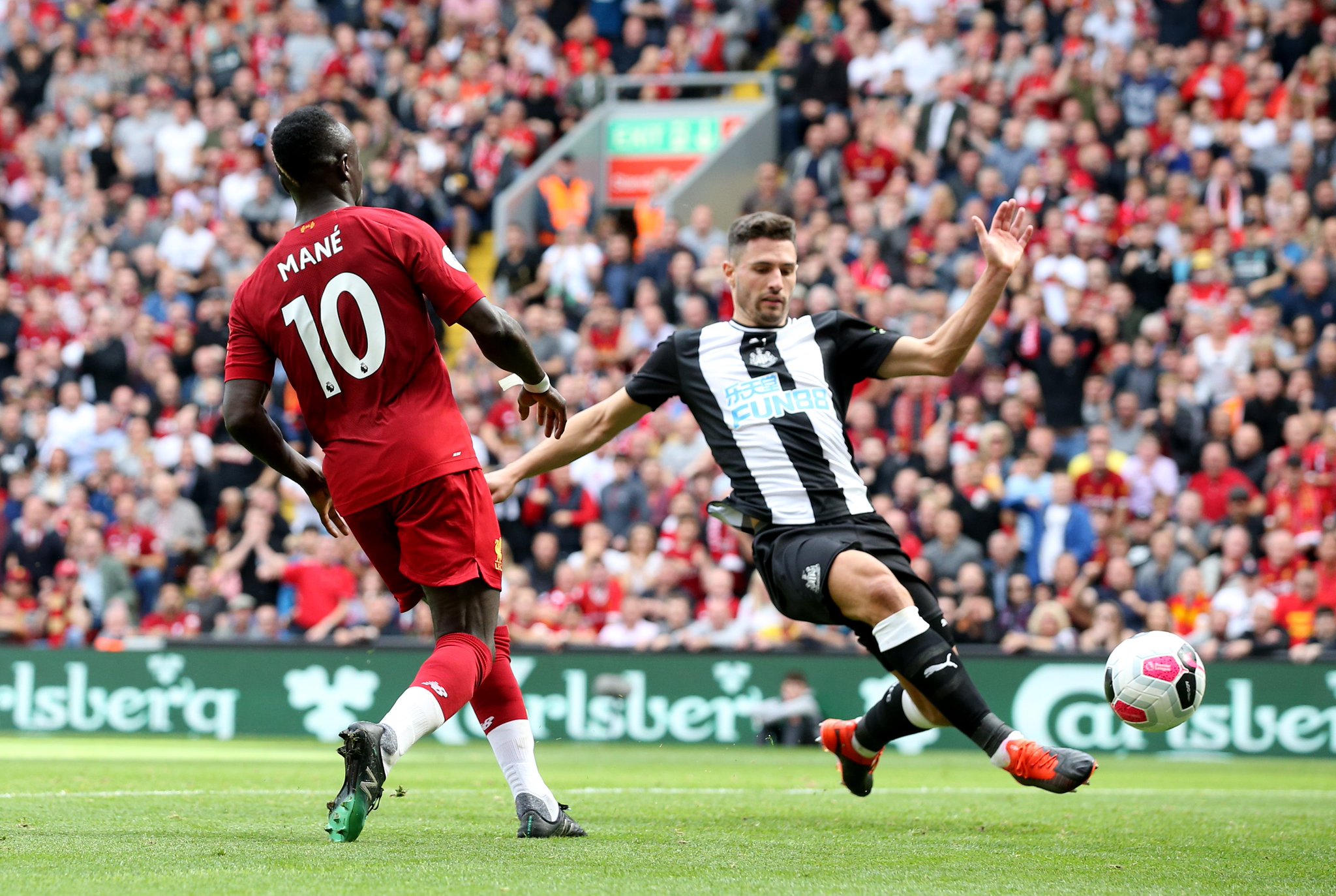 塔雷的这一 塔雷的这一